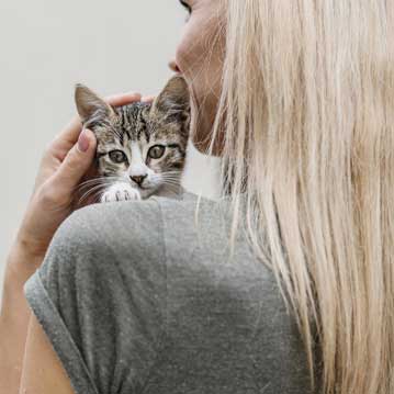 Servicio de DPD externo en España